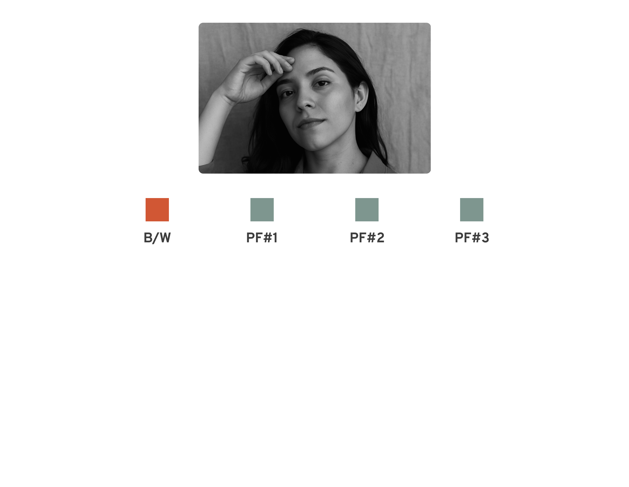 Filtro