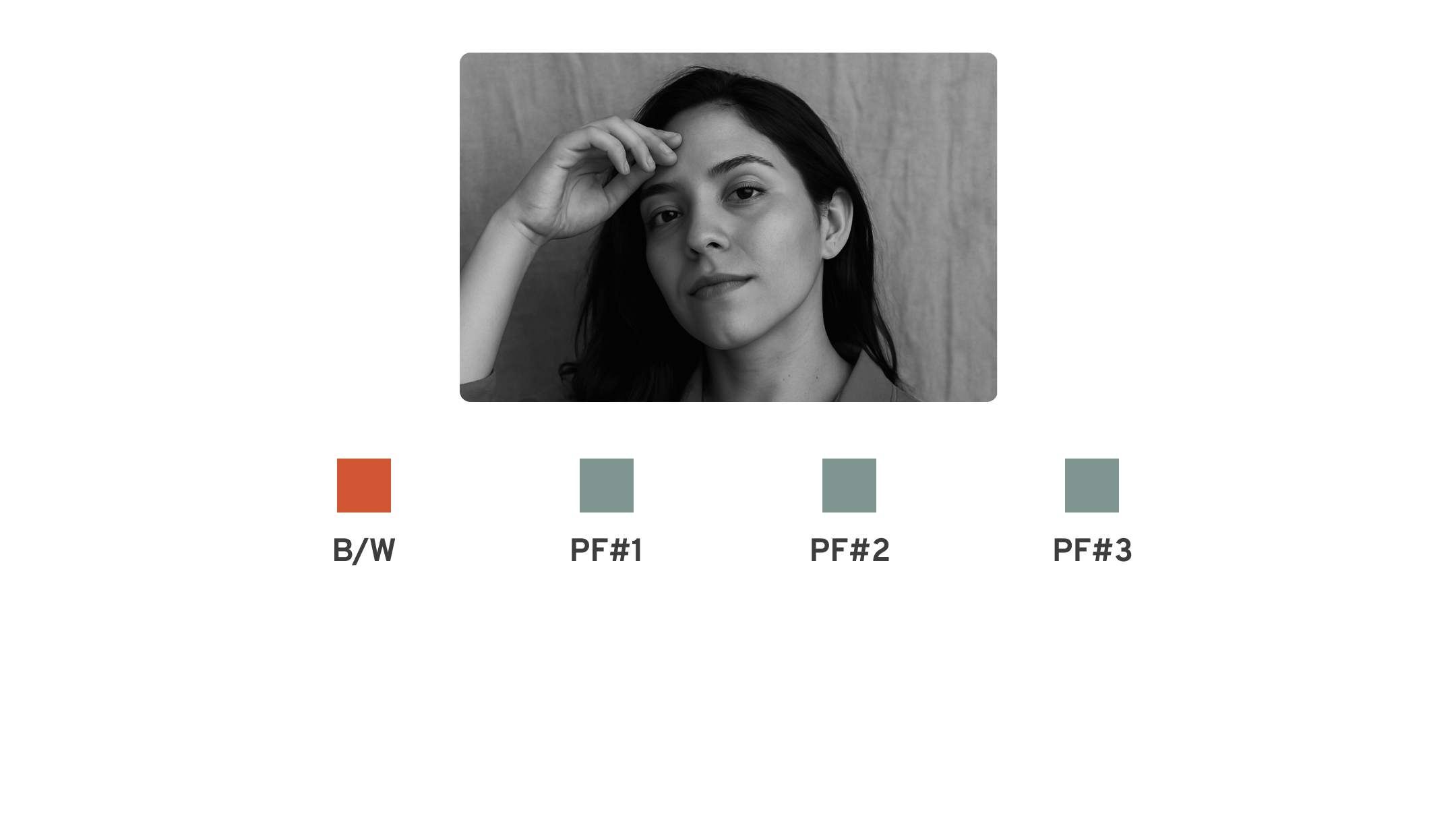 Filtro